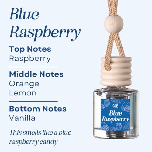 Image of CANDECraftCo Car Air Hanging Fragrance Oil, Car Auto Freshener for Essential Oils, Scents Fragrance Aromatherapy Automobile Diffuser, Long Lasting (Blue Raspberry)