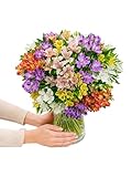 BLOOMY DAYS Blumenstrauß "Farbtraum" in Bunt, mit Alstromerien, und, 7-Tage-Frischegarantie, Floristen-Qualität, das perfekte Geschenk bestellen