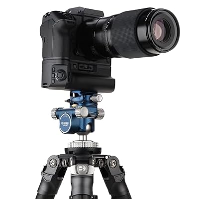Benro Geared Head Precision 3-Axis Pan & Tilt Geared Tripod Head with Fine Adjustment Knobs, Arca-Swiss Compatibility, and Aluminum Construction for DSLR, Mirrorless & Medium Format Cameras (GD36PT)