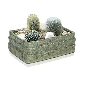 Mozing Retro Succulent Planter Ceramic Flower Pot for Indoor Outdoor, Cactus Planter Pot with Drainage Hole for Home & Office Decor