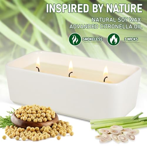 Autom Prayerlights:3-5 Day 12/Cs