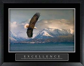 Excellence Eagle Majestic Mountain Lake View Scenic Framed Motivational Poster