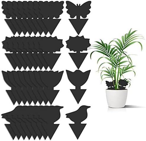 36 Pack Fungus Gnat Traps for House Plants, Sticky Traps for Indoor Outdoor Use to Get Rid of Whitefly Mosquitoes Fungus Gnats Thrips Leafminer Flying Insects Protect Your Plants (Black)