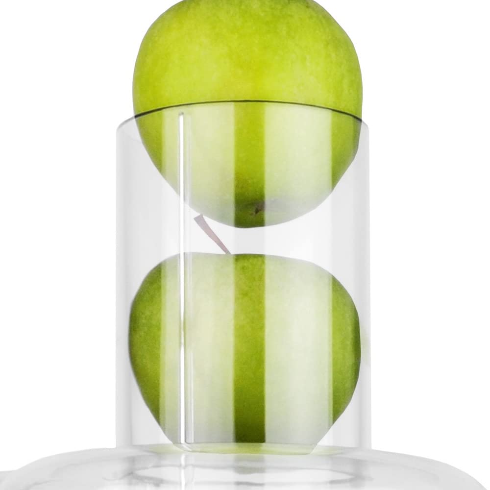 GASTROBACK #40117 Vital Juicer Pro - Praktischer Entsafter, XL- Einfüllschacht (Ø 75 mm), 700 Watt Motor, Tresterbehälter, Silber, Silberfarben