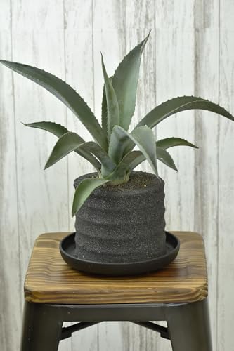 アクアプラントポット® 円L(ブラック) 植木鉢 アガベ(2102)