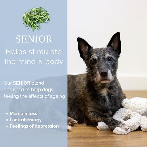 Senior Fleece Ring Body Dog Toy 23cm – Scented Calming Plush with Therapeutic Essential Oils, Soft Soothing Toy with Squeaker, Stress and Anxiety Relief for Older Dogs - Image 3