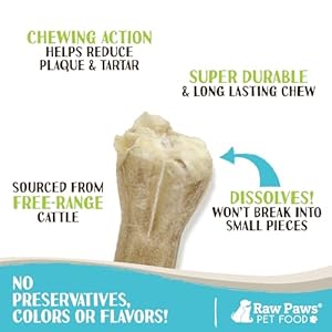 Uncooked Paws 4-inch Compressed Rawhide Bones for Canine, 20-count – Packed in USA – Small Canine Bones – Pet Bones – Lengthy Lasting Canine Chews – Pure Pressed Rawhides – Uncooked Conceal Bones