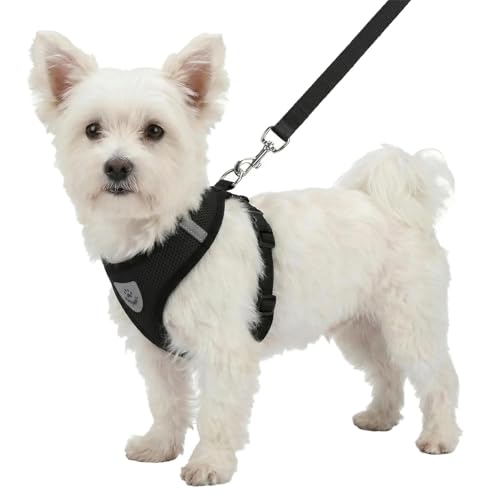 Hypeety Pet Dog Vest Harnesses Puppy Cotton Polyester Adjustable Dog Mesh Harness Travel Chest Strap Vest Reflective (S, Black)