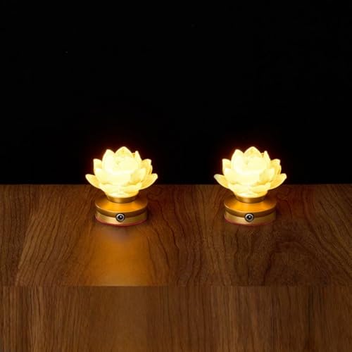 NYHGOXM@ @̉ d _Op @̉3Fω  [^X @ 2Zbg USB ͂͂ dp̕ CeAƖ ~  d O @ @v ފ   ~ O (S[f,3.5C`̘@̉Ԃ