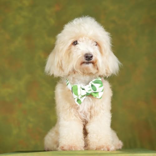 UNLEASH-Dog-Bow-Tie-Adjustable-Fashion-Party-Function-Weeding-Cum-Formal-Costume-Necktie-for-DogPuppyCatKitten-Medium-White-Green-Design