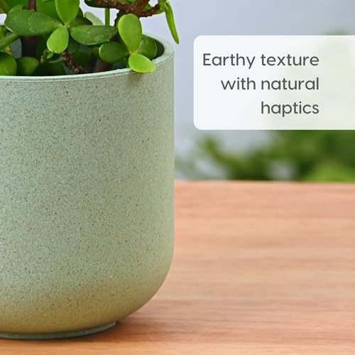 Image of Eha Earth-Friendly Terrapod Planters for Home Decor | 3.5 Inch, Pack of 4 | Small Plant Pot Made with Rice Husk Biocomposite | Flower Pot for Living Room | Celeste
