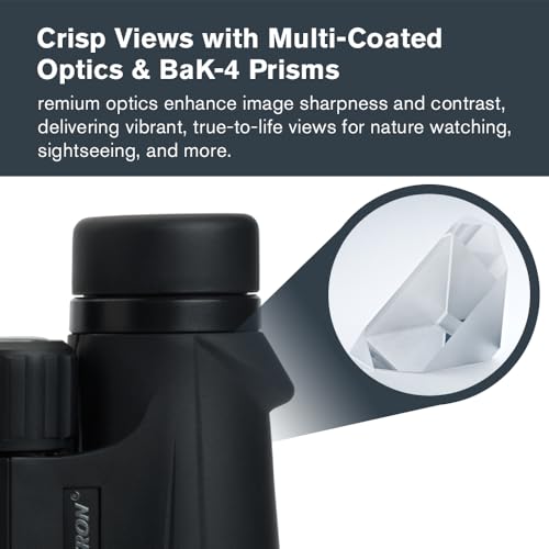 Image of Celestron Outland X 10x50 Binoculars for Low-Light Wildlife Views