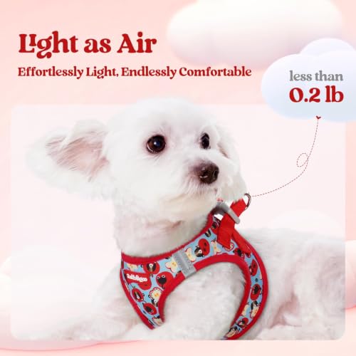 Image of rabbitgoo Dog Harness Medium Sized and Leash Set, Step-in Puppy Pet Vest