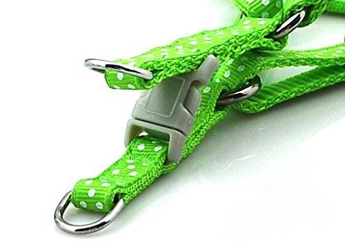 SMALLLEE_LUCKY_STORE 12"-18" Nylon Pet Dog Polka Dots Strap Harness Leash Set, Small, Green - Image 2