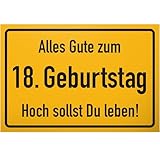 DankeDir! 18. Geburtstag Stadtschild - Schild Geschenk 18. Geburtstag Geschenkidee Geburtstagsgeschenk Achtzehnten Geburtstagsdeko Partydeko Party Zubehör Geburtstagskarte