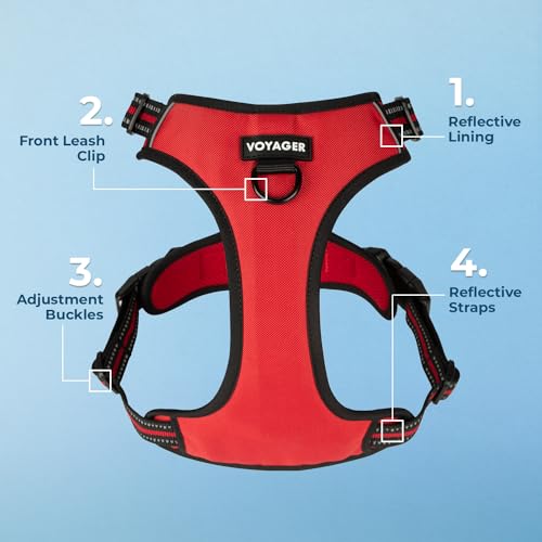Image of Voyager Dual Attachment No Pull Harness - Red, X-Large | 28 - 37 inch in Chest, No Pull Dog Harness, Fully Adjustable, 3M Reflective Technology, Front & Back D-Rings, Walking & Training