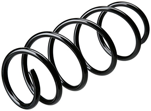KYB RH3504 Coil Spring - 1 Piece