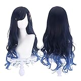 SKYBEAUTY Anime Shiraishi An Cosplay Wigs for Project Sekai Cosplay,70cm Long Black Blue Mixed Hair Wigs with Bangs for Women(Black Blue Ombre)