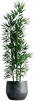 Planta Artificial Bambu Decoração Tronco NaturalDecorações modernas para a sala de estar, o escritório ou o jardim