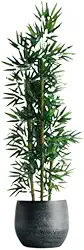 Planta Artificial Bambu Decoração Tronco NaturalDecorações modernas para a sala de estar, o escritório ou o jardim
