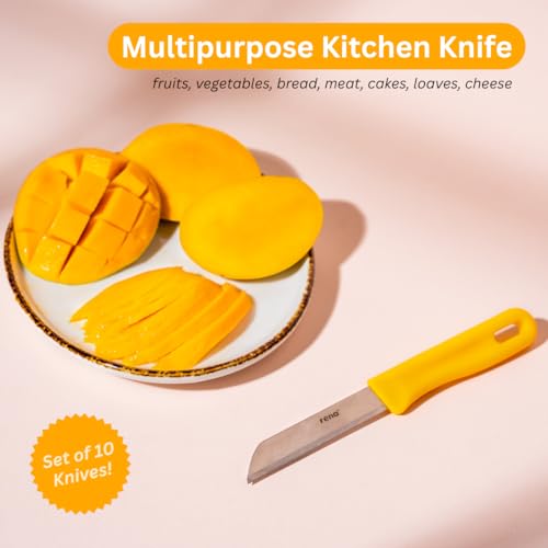 Image of Rena 10 Piece 90 mm Serrated Kitchen Knife Set Sharp Stainless Steel Knife Set for Kitchen Use, for Fruits, Vegetables, Bread. Rust Resistant, Dishwasher Safe, Durable & Long Lasting