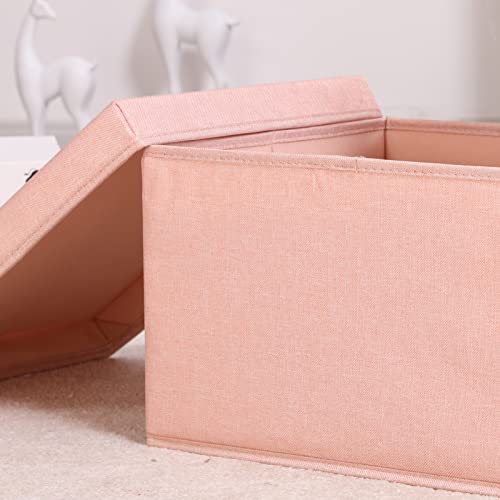 Bicoy 2 Pack Lidded Storage Bins Large Foldable Storage Boxes With Lids And Handles Cube Fabric Storage Basket Home Organizers 19.69" X 15.75" X 11.81" (Pink) #TOP5