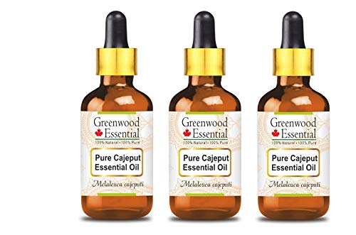 Huile essentielle de cajeput pure 100ml x 3 Greenwood Essential distillée à la vapeur avec compte-gouttes