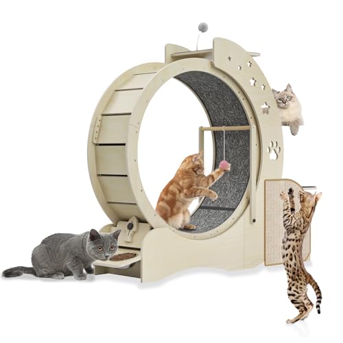 Julymoda Ruota Grande per Gatti Φ80 cm, 5 in 1 Con Casetta, Stazione di Gioco, Tiragraffi, 2 Ciotole, Girante Con Serratura