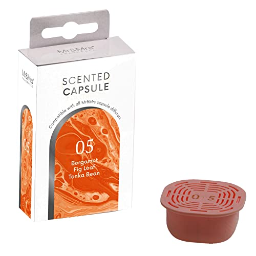 Mr&Mrs FRAGRANCE - Capsule N°05 Bergamotte, Feuille de Figue et Fève de Tonka pour Diffuseur George Cover