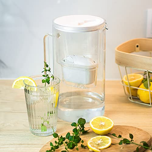 Wessper Carafe filtrante en verre borosilicaté 1L Blanc, Transparent