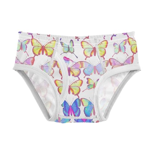 Color Butterfly Toddler Boy's Underwear 2T 202c1556
