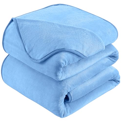 Soft Travel Size Throw for All Season Warm Fuzzy Microplush Lightweight Thermal Fleece Summer Autumn Fall Winter Spring Blankets for Bed Couch Sofa,50x60 Inches,Washed Blue