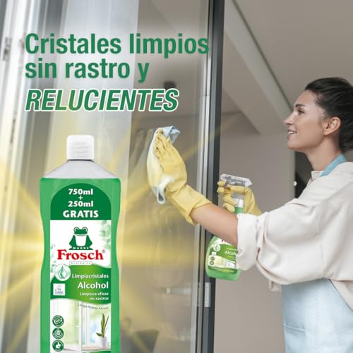 Frosch Limpiacristales Xl 1L