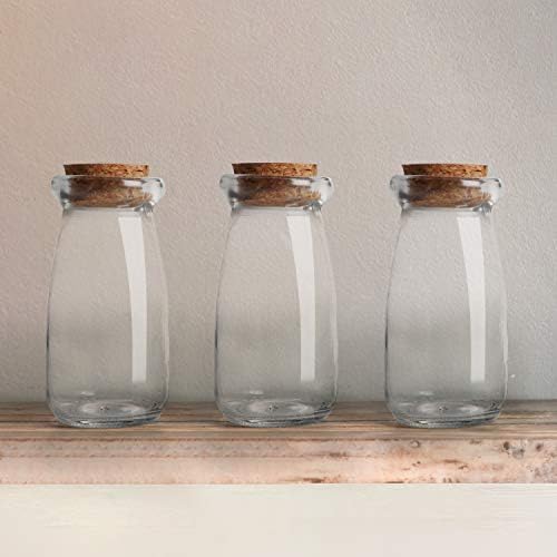 Belle Vous 12 Pack Glass Favour Jar Set with Cork Lids - 100ml/3.51oz - Mini Mason Airtight Storage Bottles for Wedding Favours, Party, Kitchen Spices and Jam