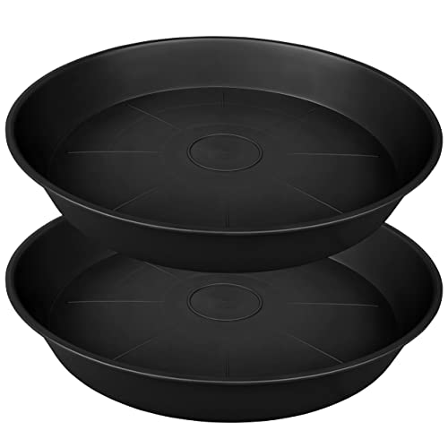 Sitemapcdatahttpsainfbizidplant Saucer 24 Inch