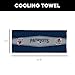 Northwest New England Patriots NFL Fast Flow Mesh Cooling Towel 12 x 31.5 Inches