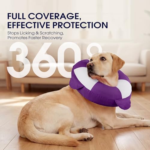 Collier de convalescence gonflable IECOii pour chien réglable taille M - 7