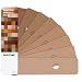 Pantone STG-201 Skin Tone Guide