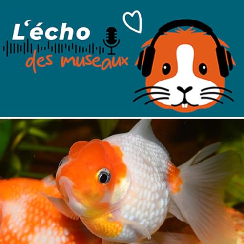 12. Passion poisson : Annie brise le bocal, et les id&eacute;es re&ccedil;ues