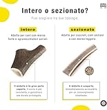 Animal House B0CW1KC6TK lato 3