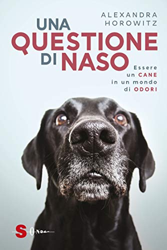 Questione di naso: Essere un CANE in un mondo di