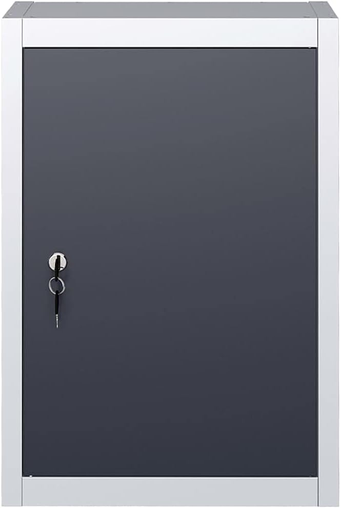 Front view of the vidaXL tool cabinet with keys in the lock