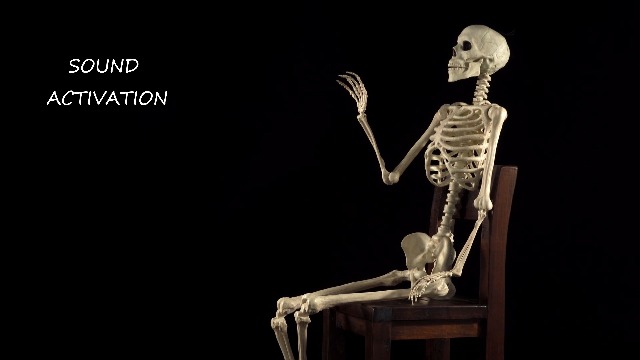 Amazon.com: Crazy Bonez Talking Pose-N-Stay Skeleton : Home