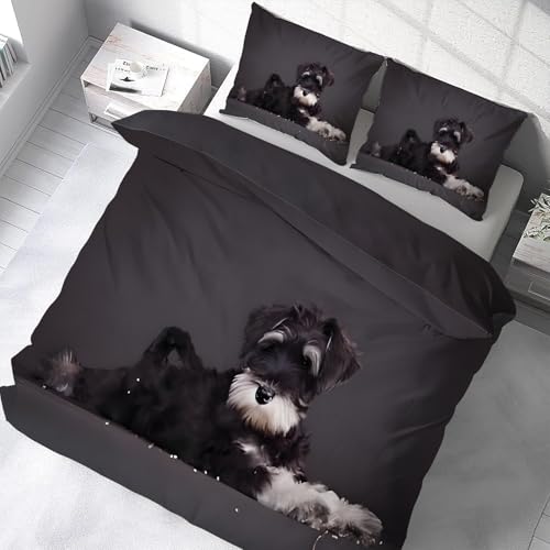 zcJo[ VO 3_Z q QJo[ZbgzcJo[|GXe100 DG _炩ʋC^Cvh_jlGʗp(150x210cm)2Jo[(43x63cm)