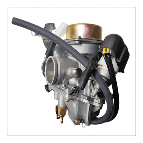 Carburador de 30 mm para Wildcat 260cc y Trailmaster 300 3
