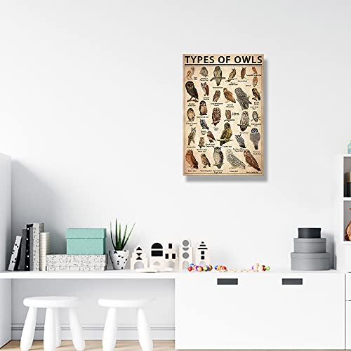 Owl Wall Art Framed Canvas Animals Posters Bird Paintings Owl Print Knowledge Poster Educational Wall Decor Vintage Animal Artwork Types Chart Framed 16X24(40X60Cm) #TOP1