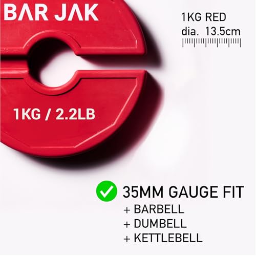 Image of Micro Plates. 1 KG / 2.2 LBS Dumbell Fractional Weight Plate, x4 Pieces, Dumbell Weights, Kettlebell weights Training, Strength Training Micro Plates Weight Plate