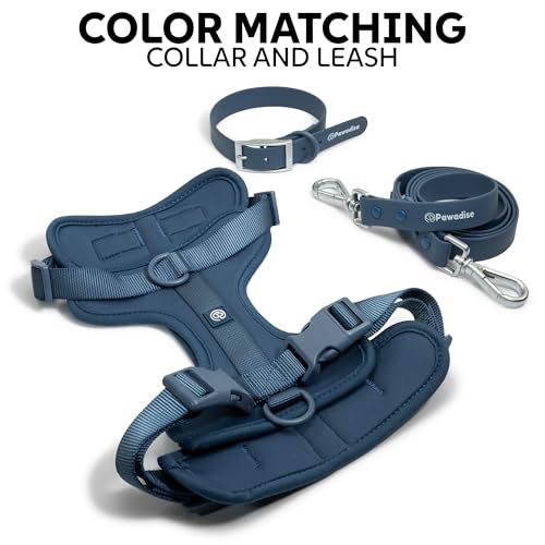 Dog Harness, Collar & Leash Set, Adjustable No Pull Harness with 3 Leash Clips, Waterproof Matching Collar & Leash, Breathable Comfort (Blue, Small) - Image 3