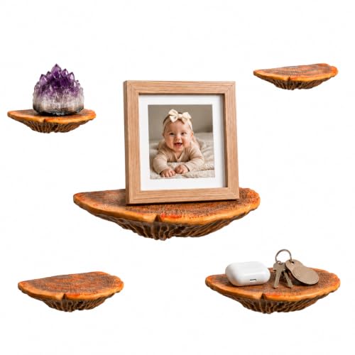 Wiosi 5-Piece Turkey Gill Mushroom Floating Shelves for Decorating Wall | Shelves for Room Wall...