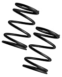 22lb Valve Spring Kit Compatible with Predator 212cc 196cc 224cc Non Hemi Honda GX160 GX200 6.5HP OHV Clone Engines and Coleman CT200U BT200X CT200U-EX Racing Mini Bike Go Kart, 2 Pcs